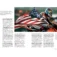 MotoGP_7a
