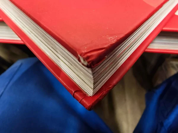 IMG_20251202_143842 IMG_20251202_143842