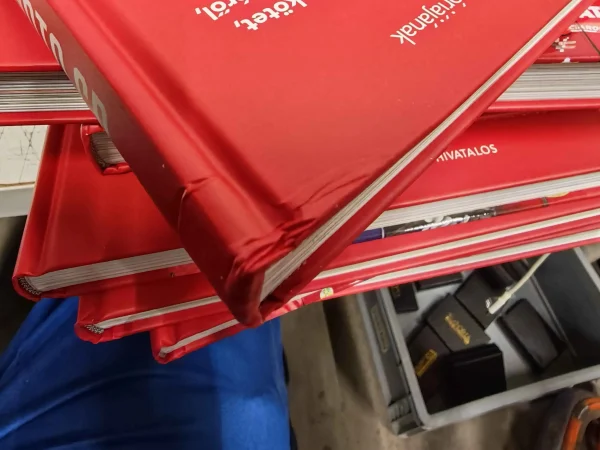 IMG_20251202_143945 IMG_20251202_143945